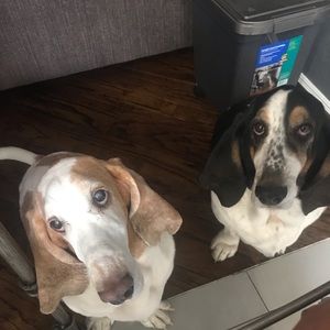 Meet your Posher, Todd